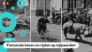 Nieuwe AIfilmpjes lijken 100 jaar oud [upl. by Notlem]