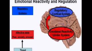 Introduction to the neuroscience of emotions [upl. by Hynes]