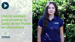 Uso de auxinas para prevenir la caída de frutos en citricultura [upl. by Orton]