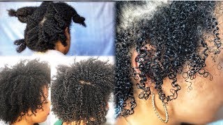 THE BEST WASH N GO ROUTINE FOR TYPE 4 HAIR ✨ Using Only Eco Styler Gel  cheymuv [upl. by Pearlman793]