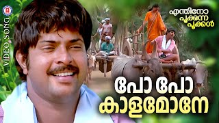 Po Po Kalamone  Enthino pookkunna pookkal  Shyam  Yesudas  Evergreen Malayalam Film Songs [upl. by Klehm]