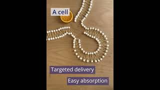 What is Liposomal Delivery [upl. by Anizor666]