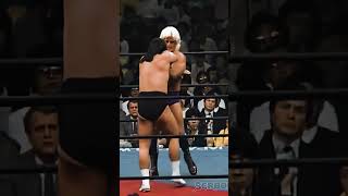 Ric Flair Chops Riki Choshu ajpw ricflair rikichoshu 80swrestling prowrestling [upl. by Tuck59]