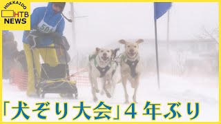 「犬たちの甲子園」が帰ってきた！稚内市で犬ぞりの全国大会4年ぶり開催「走っている姿かっこいい」 [upl. by Avery835]