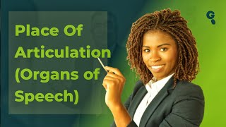 Understanding Place of Articulation in the Human Body  Organs of Speech [upl. by Fidele490]