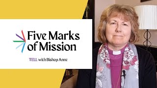 With Bishop Anne  Five Marks of Mission  Tell [upl. by Tterrab]