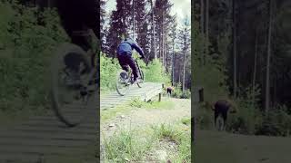 Bikepark Schöneck Sachsen [upl. by Leboff]