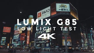 Lumix G85 Low Light Test 4K with 1260mm Kit Lens Hokkaido Japan [upl. by Danice171]