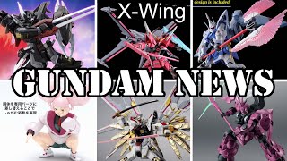 February Gunpla New Freedom Gunpla Freedom Gundam Cafe And More Gundam News [upl. by Oiligriv]