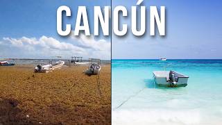 SARGAZO EN CANCÚN  ¿Qué hacer [upl. by Ecyrb106]