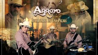 Los Del Arroyo quotRecargado en una Palmaquot En Vivo [upl. by Gebler]