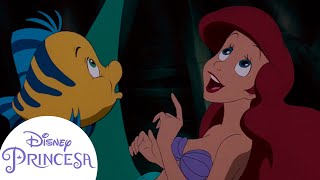 Los mejores momentos de Ariel y sus amigos  Disney Princesa [upl. by Sanferd]