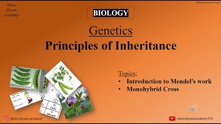 Monohybrid Cross  Principles of Inheritance  genetics  biology  Class 12th [upl. by Erialb423]