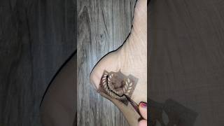 Leg mehndi sticker [upl. by Laenahtan585]