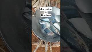 fire stove rice cooker shorts cooking [upl. by Luelle554]