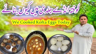 We Made Eggs Kofta In Emergency Today😋  Family Vlog [upl. by Pulsifer562]