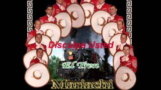 Disculpe Usted  Mariachi Juvenil Zapotiltic [upl. by Illom]