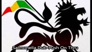 Salmonella Dub  Push On Thru [upl. by Haeluj]