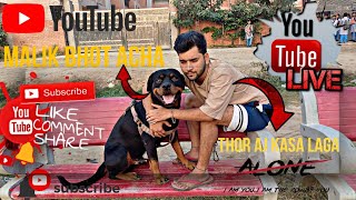 Thor gumna kha gya dhundo🙄👀🐶Shivamkennal9104 shortsfeed rottweilerlove viralvideo newvlogs [upl. by Marty]