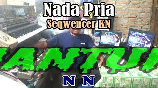 Mantuk Style KN NADA PRIA  By N N  KARAOKE KN7000 FMC [upl. by Airamana53]