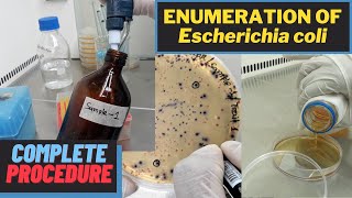 Enumeration of Escherichia coli Total E coli CountA Complete Procedure ISO 93081 amp ISO 16649 [upl. by Adrianne895]