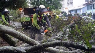 Tropensturm trifft auf Australiens Ostküste [upl. by Aisilef]