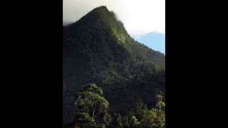 EL CERRO DEL ARIPO  TRINIDAD [upl. by Ytok]