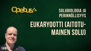 Eukaryootti aitotumainen solu [upl. by Rodnas]