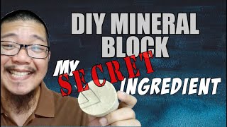 HOW TO MAKE MINERAL BLOCK OR CALCIUM BLOCK [upl. by Ahsened]