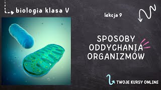 Biologia klasa 5 Lekcja 9  Sposoby oddychania organizmów [upl. by Ikkin]