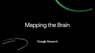 Research NYC Mapping the Brain [upl. by Pol910]