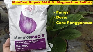 Manfaat Pupuk Meroke MAGS  Magnesium Sulfat Untuk Tanaman  Agar Tanaman Subur Sehat dan Kuat [upl. by Aikym]