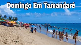 Tamandaré Pernambuco Domingo 17 De Dezembro De 2023 [upl. by Adila203]