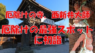 厄除けの寺、西新井大師。厄除け最強のパワースポットに初詣。 [upl. by Joed]