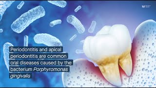 CXXC5 promotes cementogenesis protects against periodontitis by supporting mitochondria formation [upl. by Jehanna]