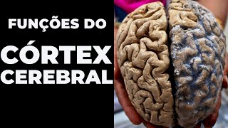 Resumo das funções do córtex cerebral para Psicólogos  BÁSICO PARA NEUROPSICOLOGIA [upl. by Rehc497]