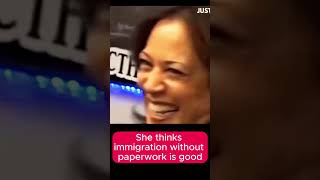 Kamala Border Czar Song How Bizarre song turned into Trump tune against Kamala [upl. by Eked982]