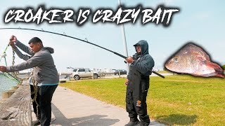 NonStop Action Pier Fishing with Cut Croaker [upl. by Arabrab306]