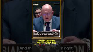 Russia Defends North Korea Ties At UN Asserts No Violation Of International Law  WION Shorts [upl. by Cahn]