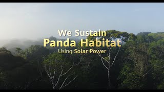 Sustaining Panda Habitat with Solar Power Huawei amp Ditrolic Energys Green Initiative [upl. by Radloff]