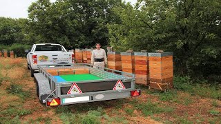 APICULTURE E23 Une récolte orageuse  Parc Naturel Régional des Monts dArdèche [upl. by Rockafellow]