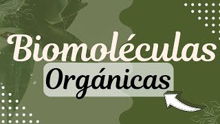 Biomoléculas Orgánicas Resumen 📚⚡ [upl. by Rima]