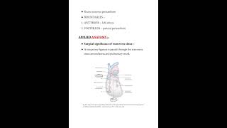 Sinuses of pericardium notes 🗒️ANATOMY medicalconcepts28 [upl. by Esenej239]