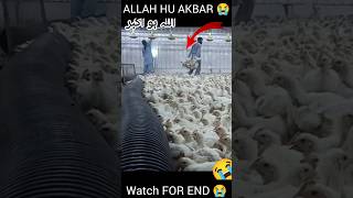 HUSNAIN BHAI FAKIEH VLOG allahuabar gesibaglari foryou tranding virlvideo populer [upl. by Tloc]