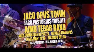 Jaco Opus Town  Jaco Pastorius Tribute by Ximo Tebar Band Live at Galapajazz Festival [upl. by Enitram]