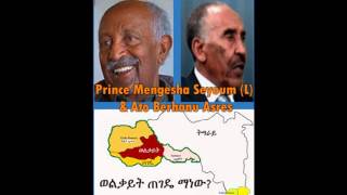 VOA Prince Mengesha Seyoum on Wolkait Tegede 26 Feb 2016 [upl. by Himelman]