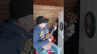 Baritone Ukulele Blues EADG Tuning [upl. by Garett]