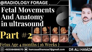 Fetal Movements In Ultrasound  Complete Fetus Anatomy  Part 2 [upl. by Kori]