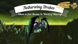 Netherwing Drake  Where to find mounts in World of Warcraft  ep 10 [upl. by Anehc]