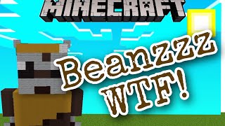 Beans WTF Minecraft [upl. by Nylisoj]